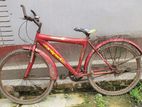 Riderman bicycle for sale