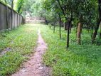 রিসোর্ট,ঔষধ শিল্প,ফুড ফ্যাক্টরি,গার্মেন্টসের জন্য ১২ বিঘা জমি বিক্রি হবে