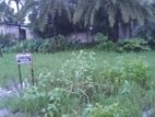 রিয়া বাজার অটো স্ট্যান্ড, খুলনা ৩.৬ কাঠা জমি বিক্রয়