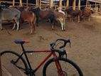 Bicycle for sell