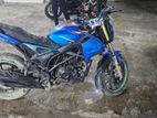 Roadmaster Rapido ফ্রেশ কন্ডিশন 2017