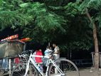 Bicycle for sell