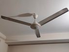 Fan for sell