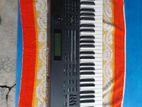 Roland XP 60 Keyboard