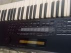 Roland Xp50