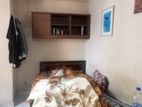 Roommate Wanted
