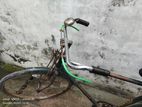 Bicycle for sell