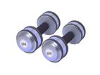 Rubber Gripped Silver Dumbbell Set 10kg (5kg X 2)