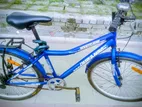 Duranta Bicycle for sale