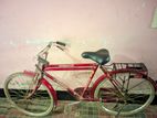 Bicycle for Sale