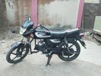 Dayang Runner Other Model 2020