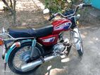 Runner AD 80s Dayang 80cc 2024