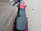 Runner Bike RT . 2022