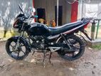 Runner Bullet 2010