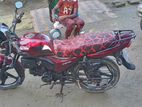 Runner Cheeta ` 2017