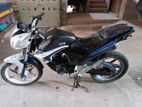 Runner KnightRider 150cc 2017