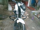 Runner KnightRider . 2022