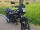 Runner Royal Plus 100cc 2019