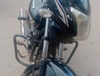 Runner Royal Plus ` 2018
