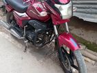 Runner Royal Plus 2019