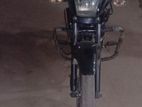 Runner Royal Plus 2021