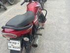 Runner Royal Plus 2022