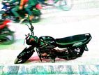 Runner Royal Plus . 2025