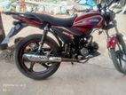 Runner Royal Plus 2025