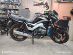 Runner Royal Plus Brand New Bike 2024