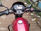 Runner Royal Plus ' 2022