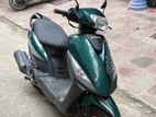 Runner Skooty fresh on test 2024
