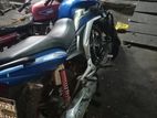 Runner Turbo 125 Bike 2022