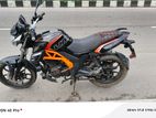 Runner UM Xtreet . 2020
