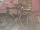 Running Cycle