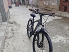 Phoenix Bicycle For Sale