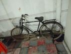 Phoenix Bicycle for sale