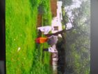 সাভার ৬ শতক জমি বিক্রি হবে