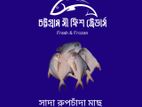 সাদা রুপচাঁদা