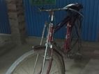 Bicycle for sell