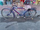 Bicycle for sell