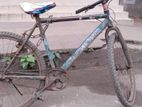 Bicycle for sell