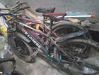 Express Bicycle for sale