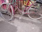 সাইকেল বিক্রি হবে কম দামে