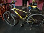 Phoenix Bicycle for sale