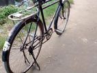 সাইকেল/ Cycle