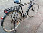 Bicycle for sell
