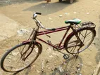 Bicycle for sell