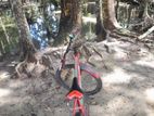 Bicycle for sell