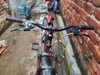 Phoenix Bicycle for sale