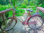 Bicycle for sell